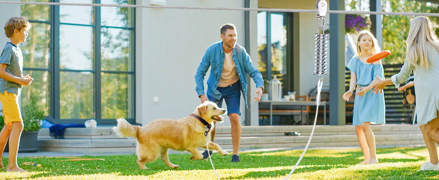 dog runner for yard