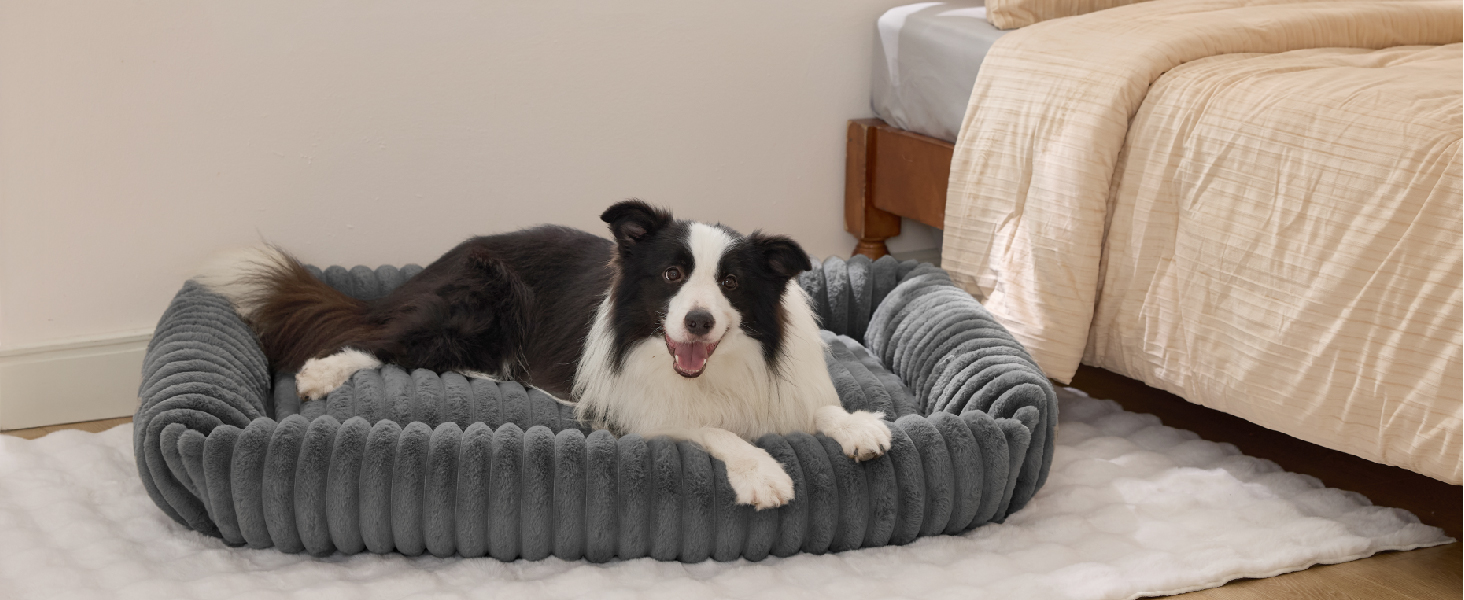 cute dog bed