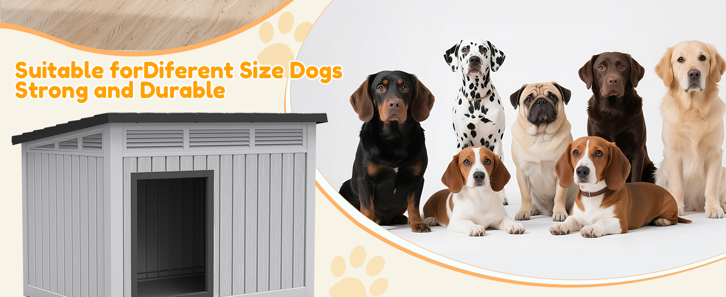 dog house