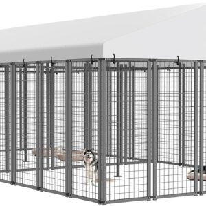 20×10 ft Outdoor Dog Kennel with Divider, Heavy Duty Dog Pen