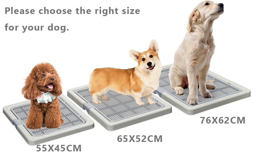 Smart Paws pet training tray