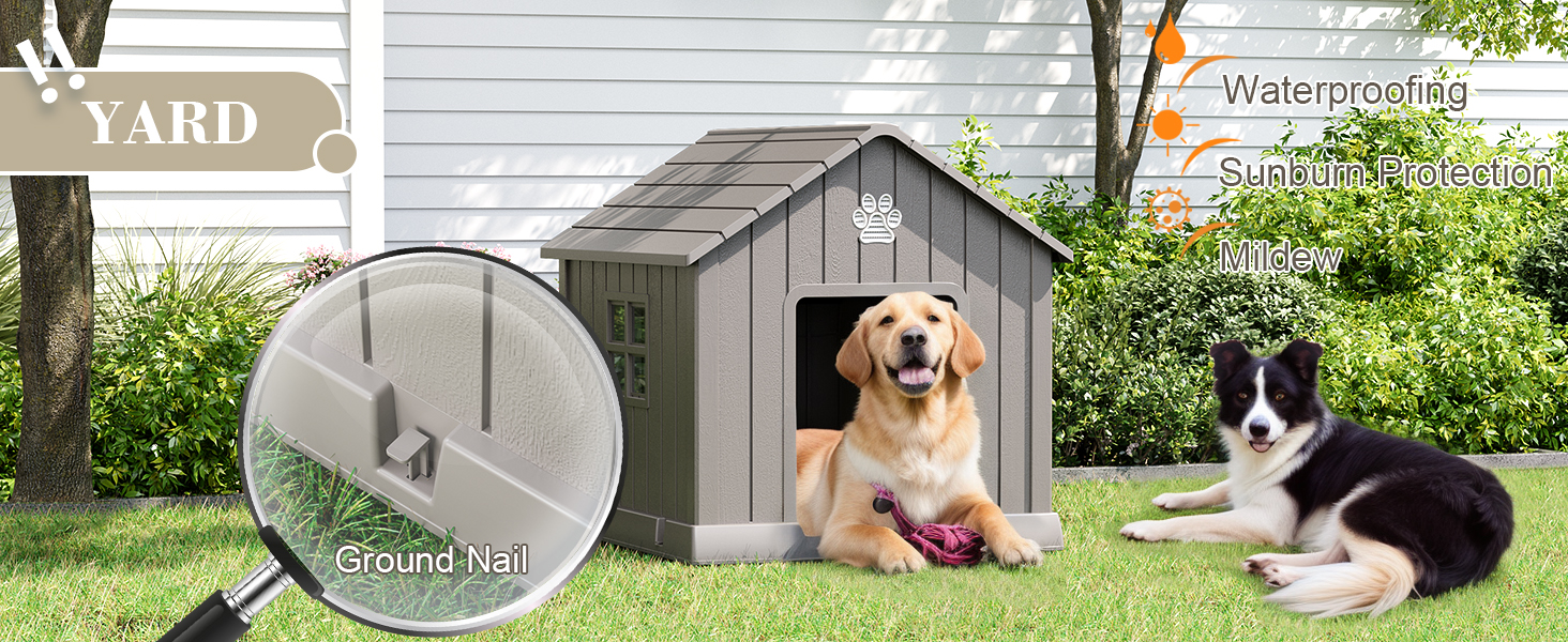 dog house
