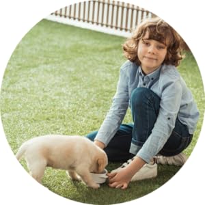 puppy potty training
