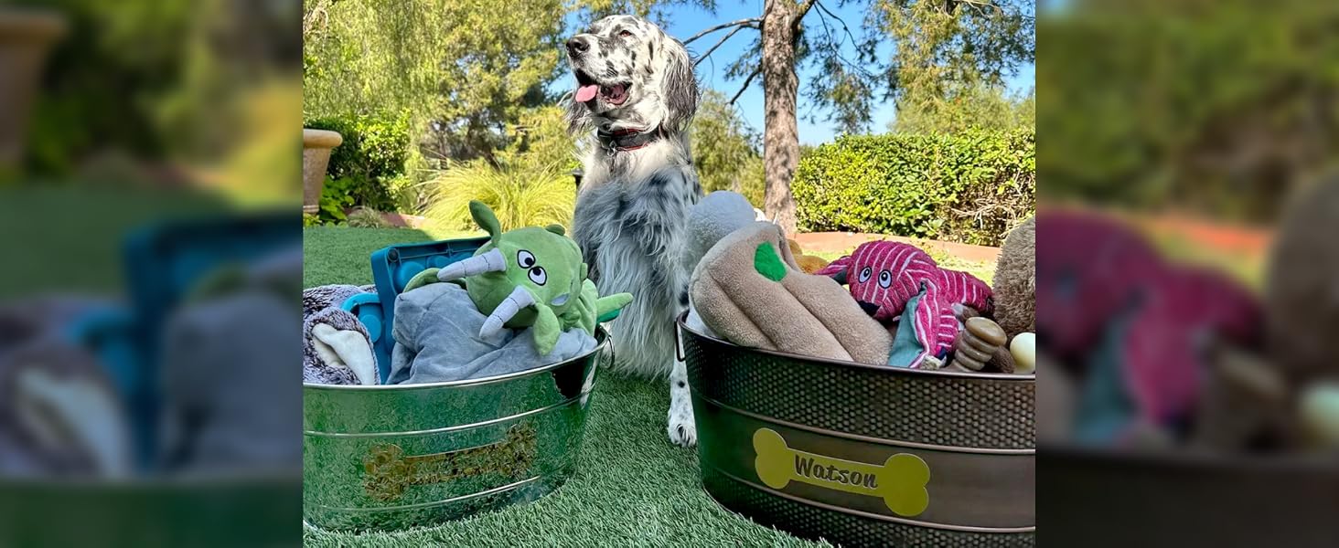 Metal dog toy bins with personalized name for your dog.