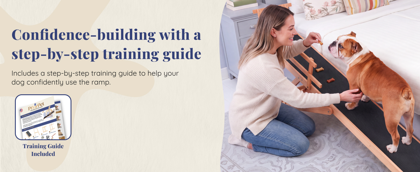 Dog Training Guide