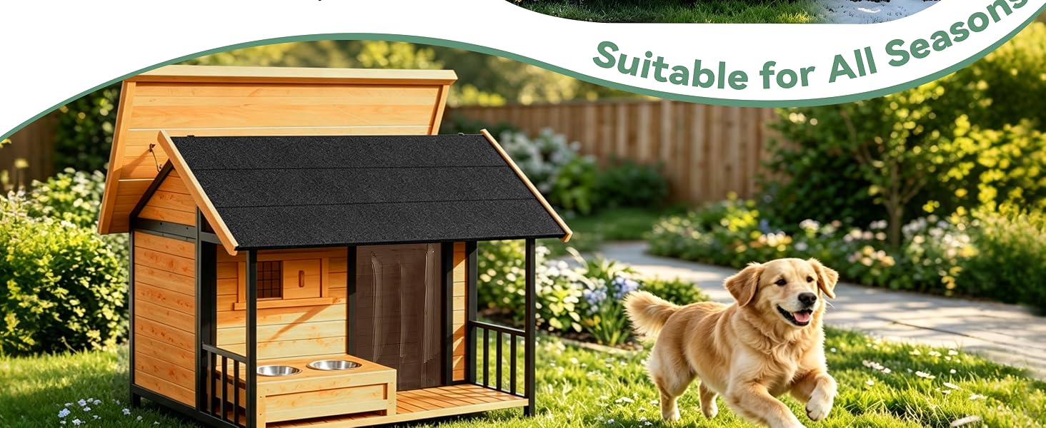 dog houses for large dogs outside