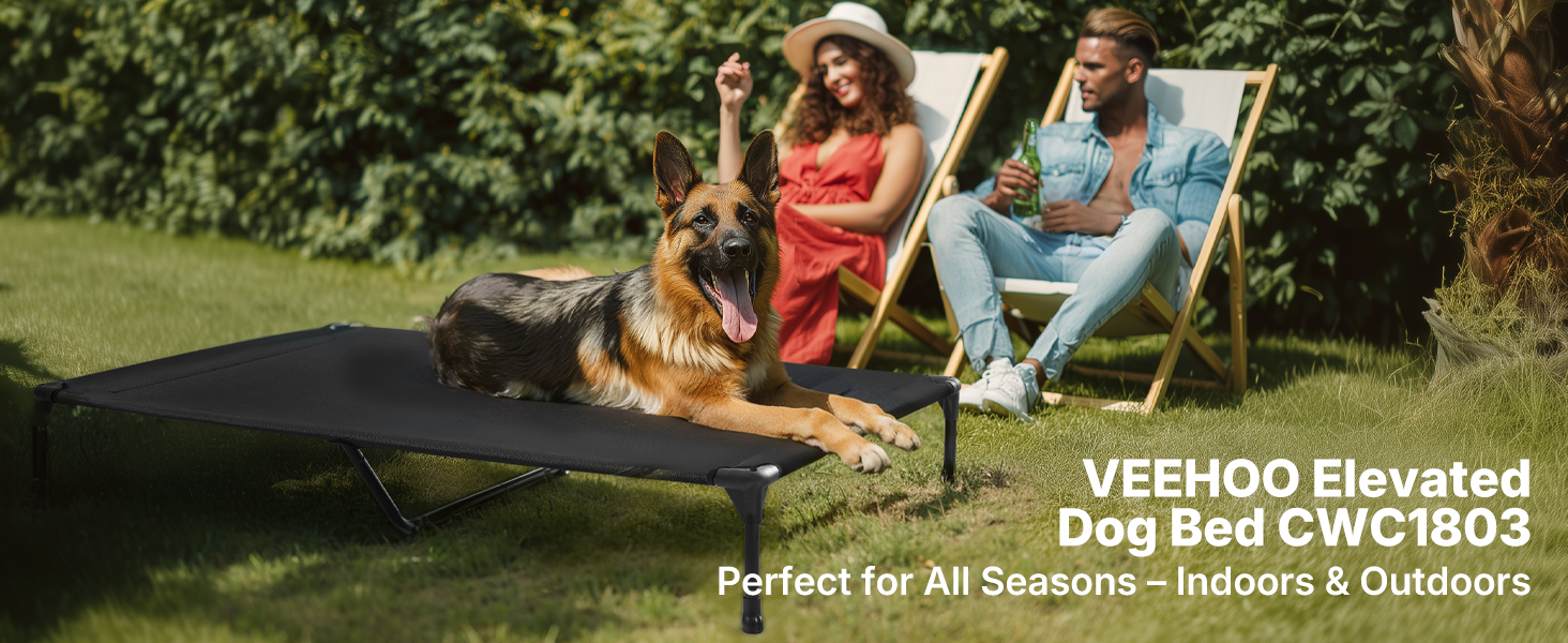 dog cot