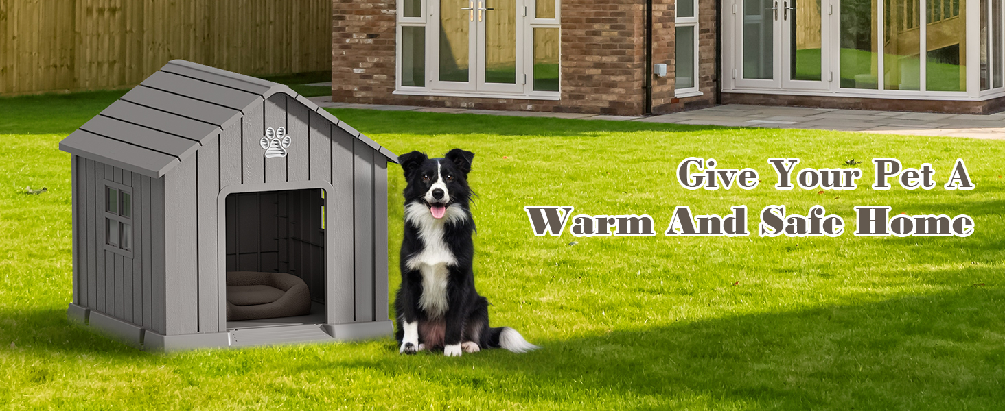 dog house