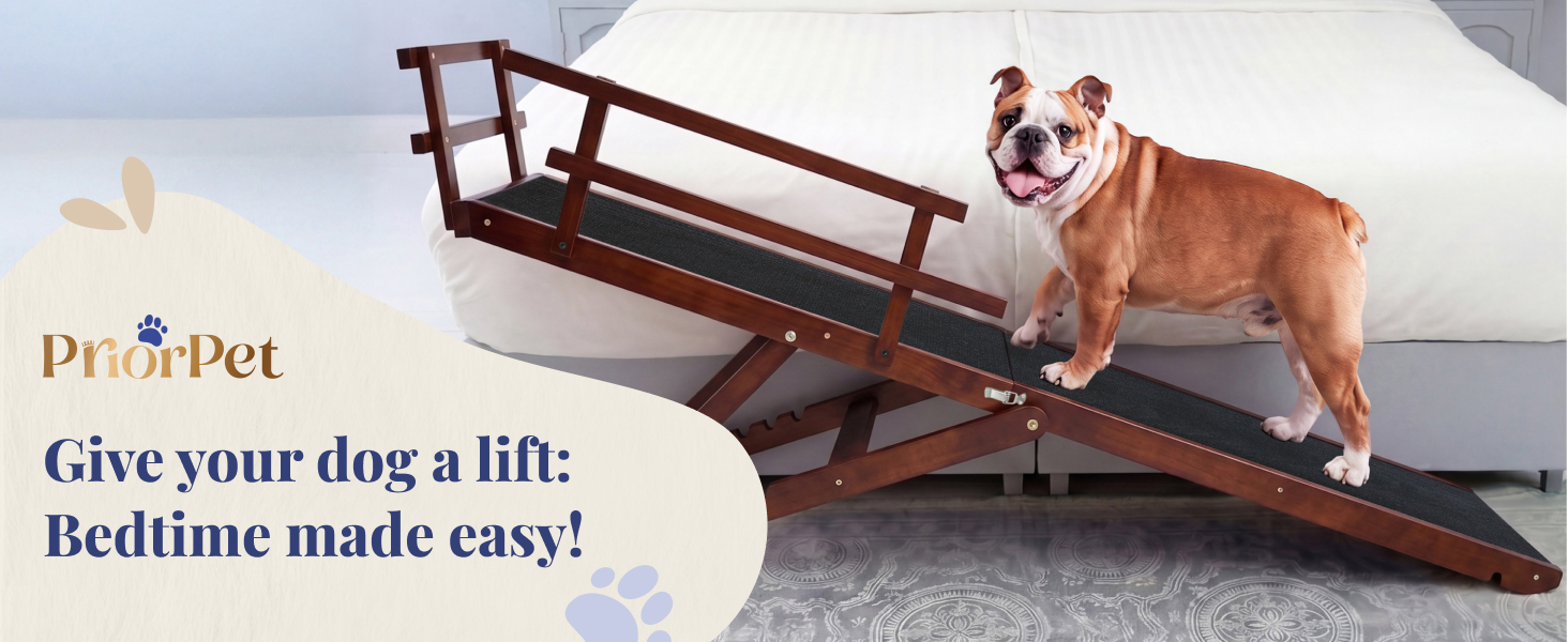 Give your dog a lift