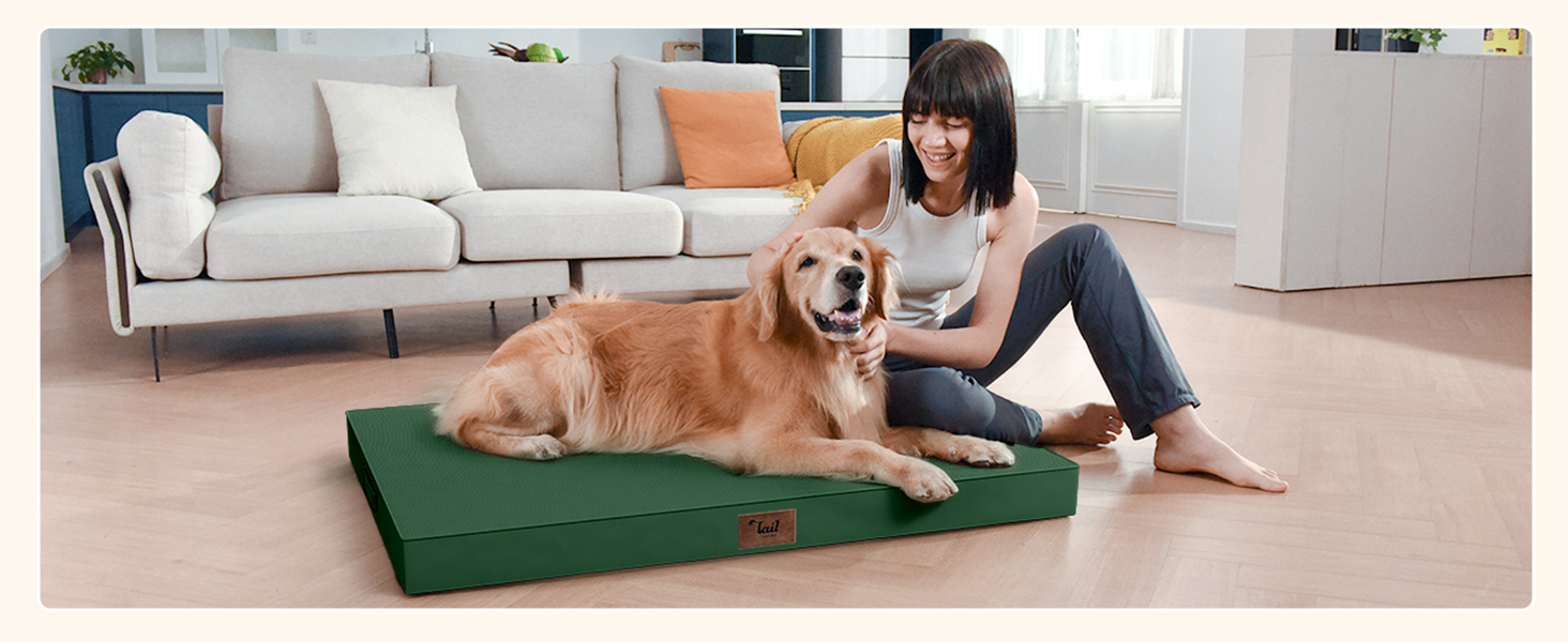 Egg Foam Pet Bed