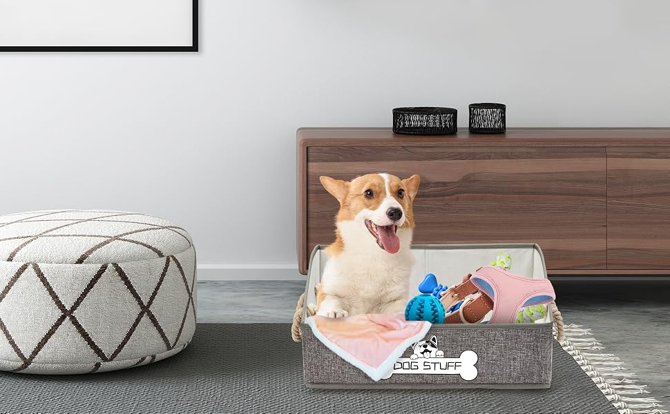 pet toy boxes