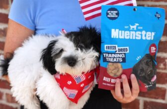 How to Choose the Right Dog Food for Your Puppy