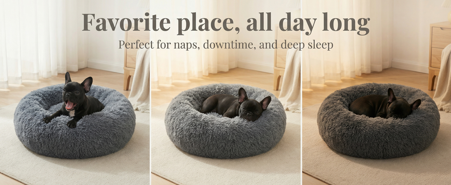 round dog bed with raised rim soft plush material and supportive base