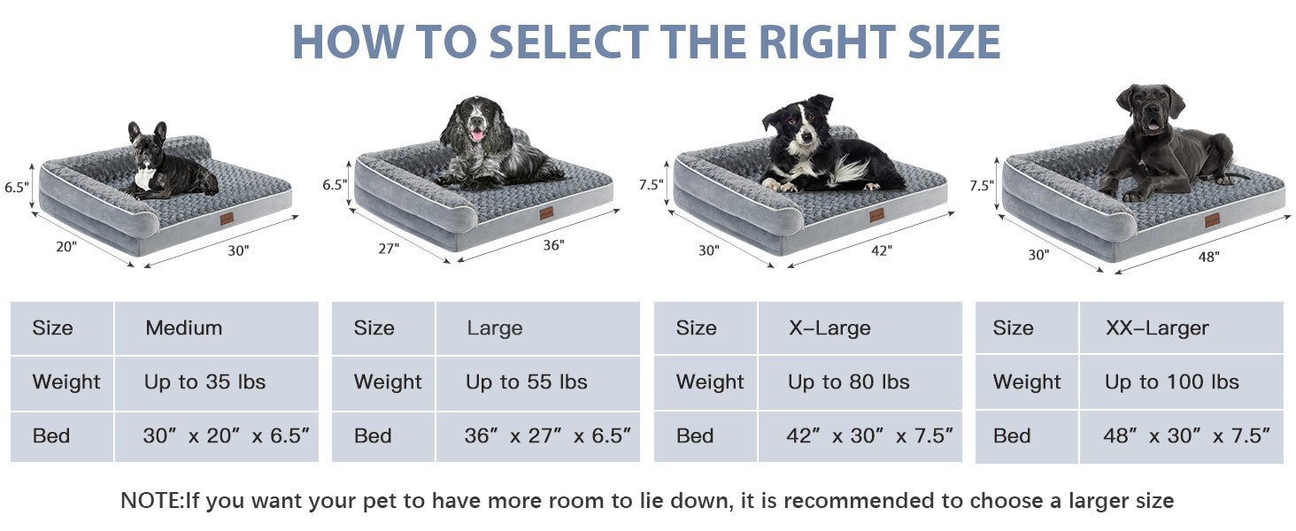 dog bed 10