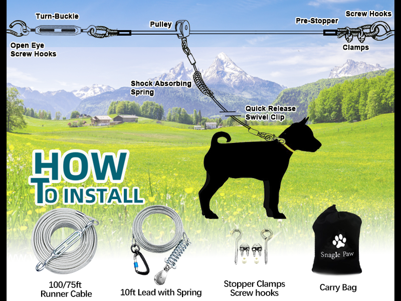 how to set up dog trolley system