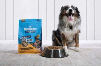 Ancient Grains vs. Grain-Free Dog Food – Muenster Pet
