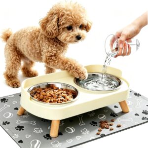 Elevated Dog Bowls with Mat, 2 Stainless Steel for Small Dogs Under 25 Lb