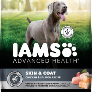 IAMS Advanced Health Skin & Coat Dry Dog Food, Chicken & Salmon, 13.5 lb | Vet-recommended, Omega 6:3 fatty acids, zinc & vitamin E, real chicken #1 ingredient, real salmon, no artificial flavors