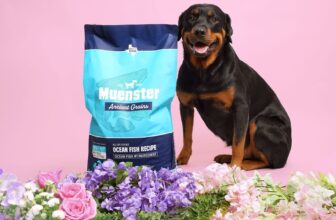 Ancient Grains Dog Food for Healthy Digestion – Muenster Pet