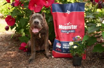 Ingredients & Benefits – Muenster Pet