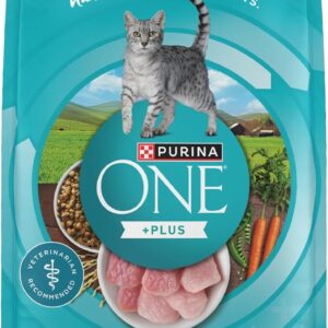 Purina ONE Sensitive Skin and Stomach Dry Cat Food 7 lb Bag | Easily digestible cat food with prebiotic fiber, calcium and antioxidants for cats with sensitive systems.