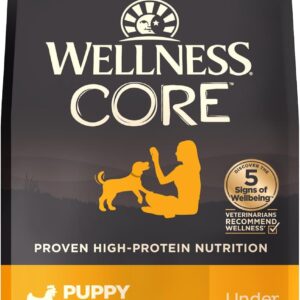 Wellness CORE Puppy Dry Dog Food, Grain Free Kibble, Natural, High Protein, Chicken and Turkey Recipe, 26 lb Bag
