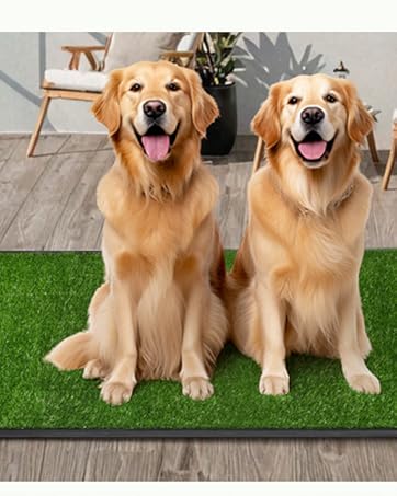 dog potty pad