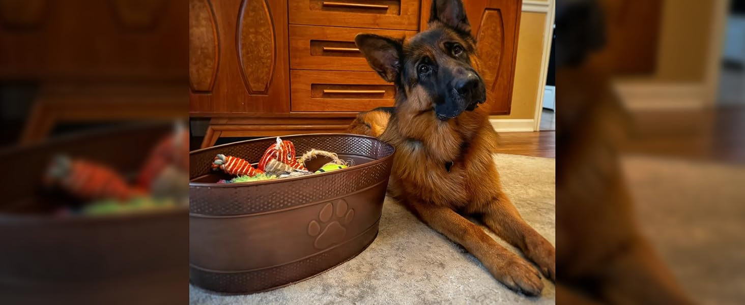 Paw print dog toy bin with dog in real customer photo.