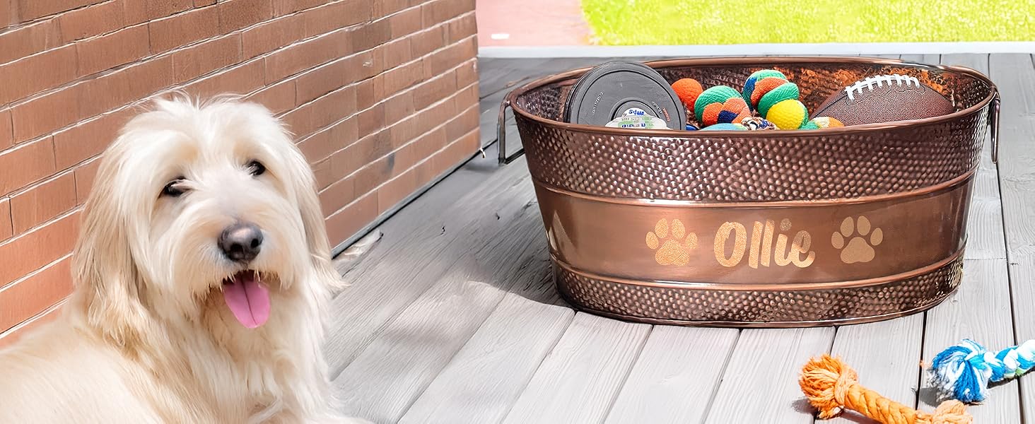 Personalized metal dog toy box outdoors on the patio with a dog nearby.