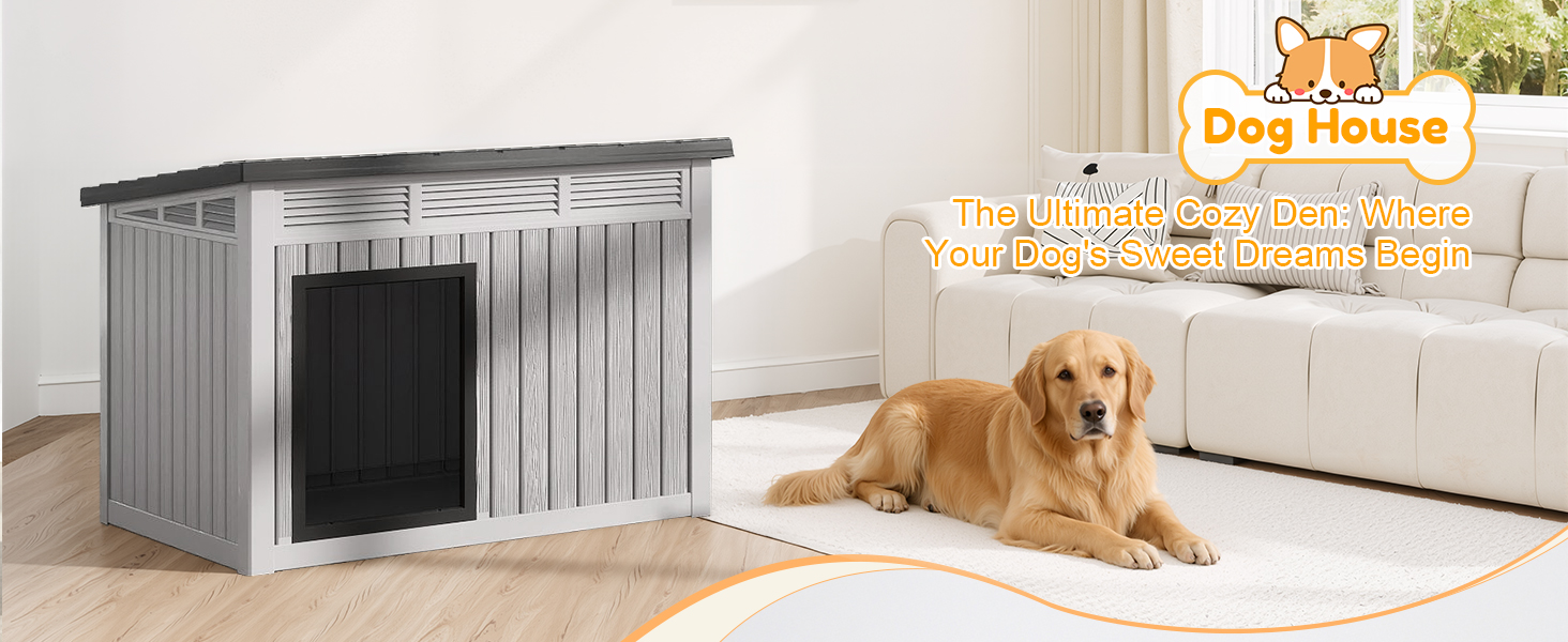 dog house