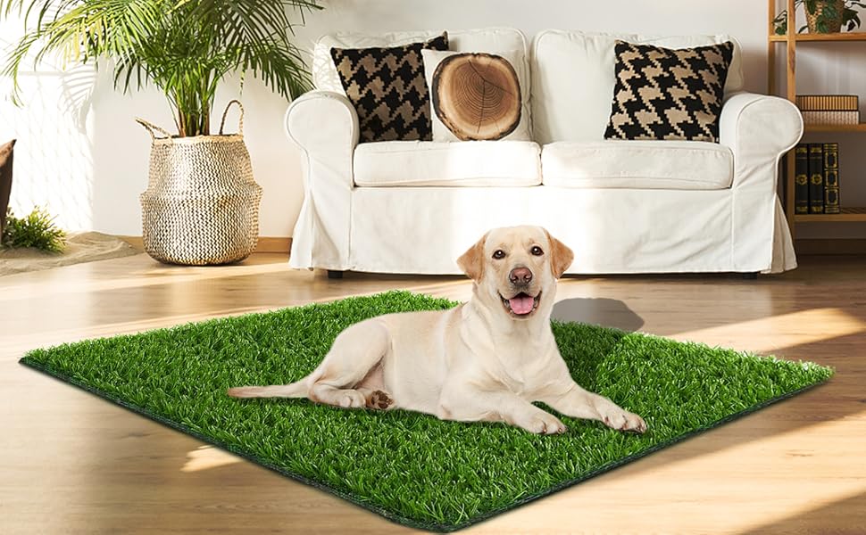 dog grass pee pad