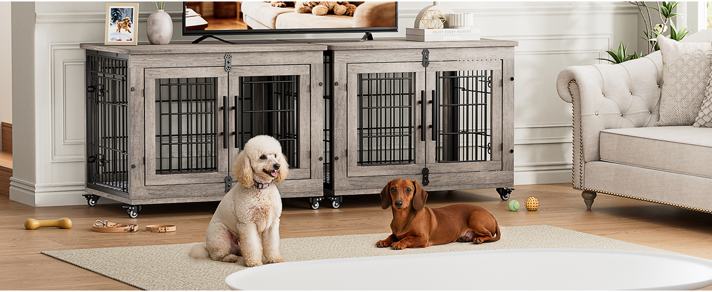 dog kennel indoor