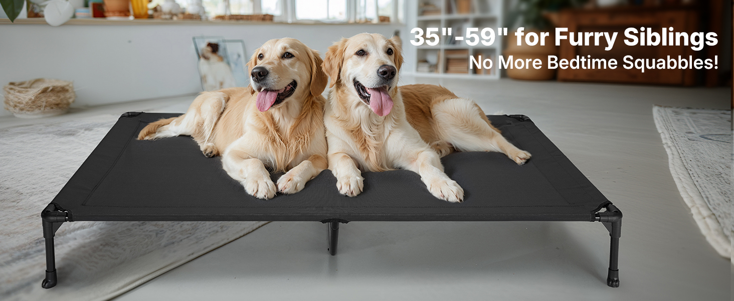 raised dog bed