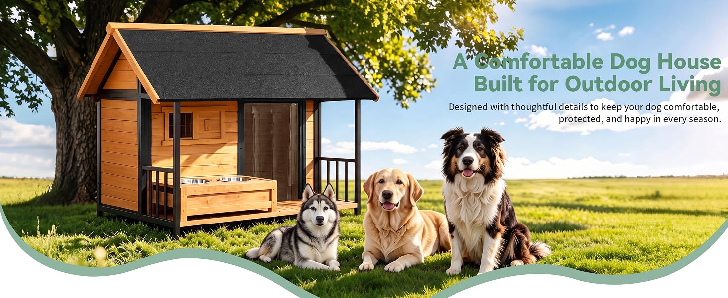 dog house outdoor