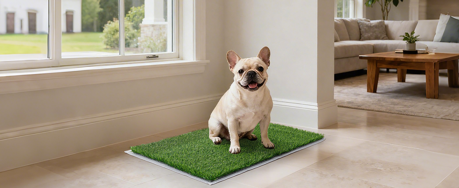 PICK FOR LIFE Artificial Grass Pad for Dogs Potty