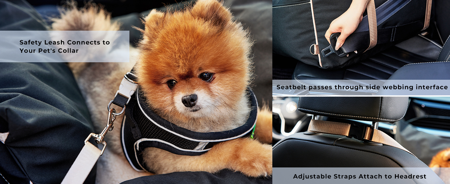 Dog Car Seat