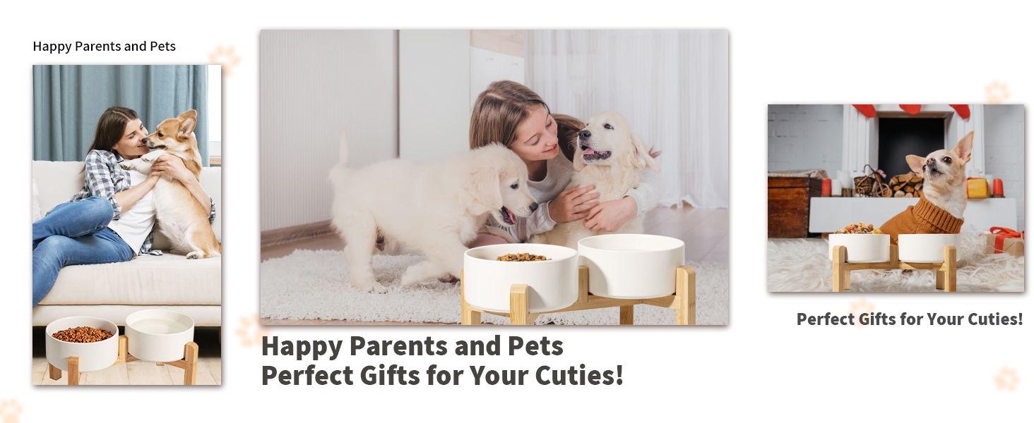 The ergonomic pet bowl set offers your cat and dogs an ideal feeding position.