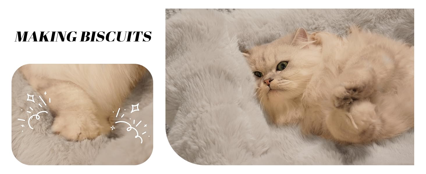 cat couch bed