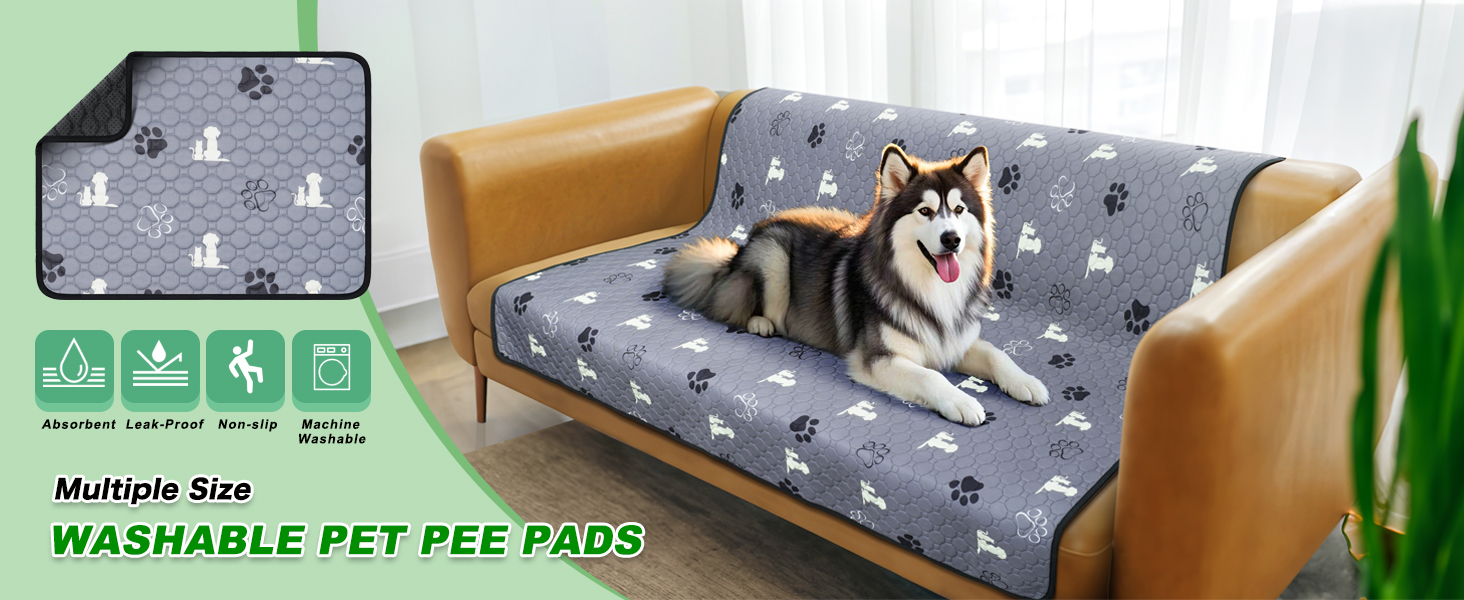 pee pads for dogs
