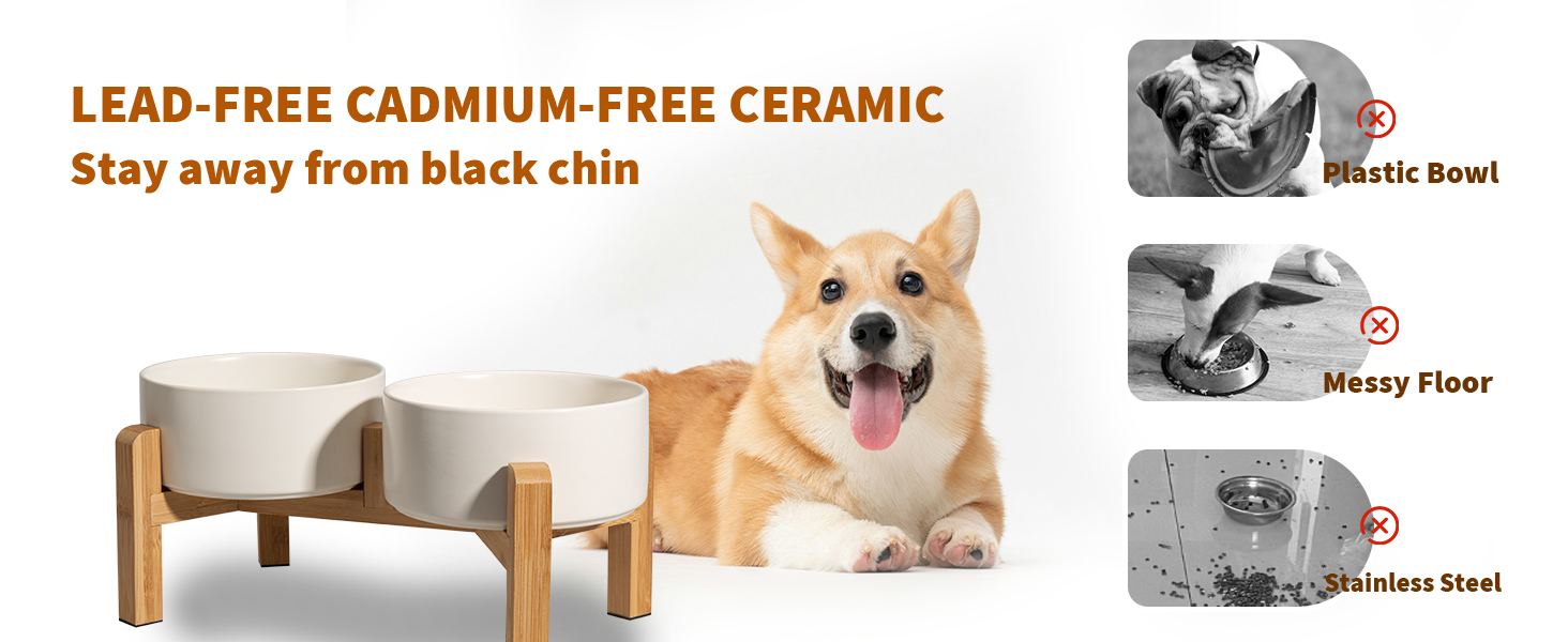 The ergonomic pet bowl set offers your cat and dogs an ideal feeding position.