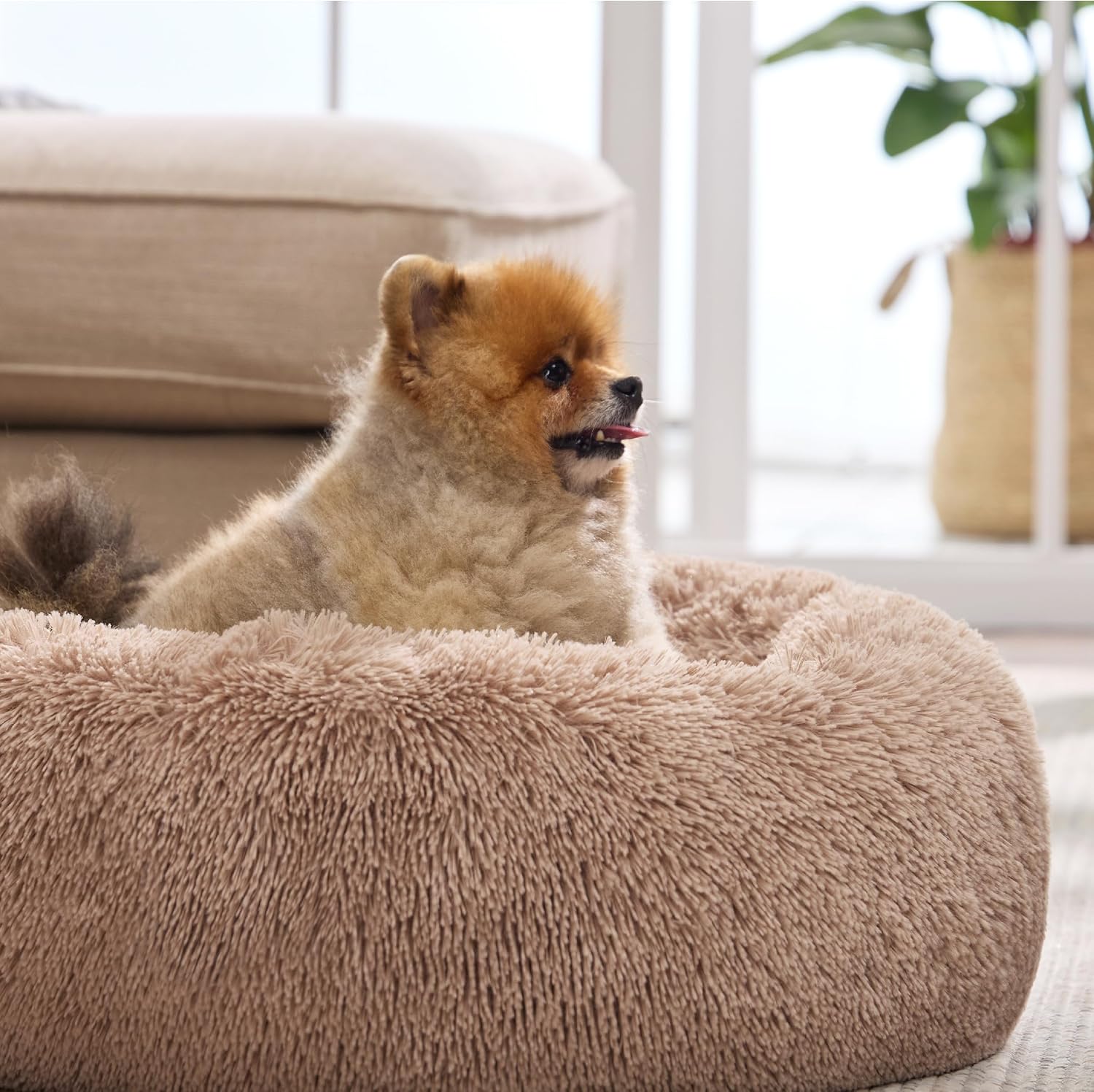 Bedsure Calming Cat Beds Donut Round Washable Kitten Bed,20 inches Camel - Image 7