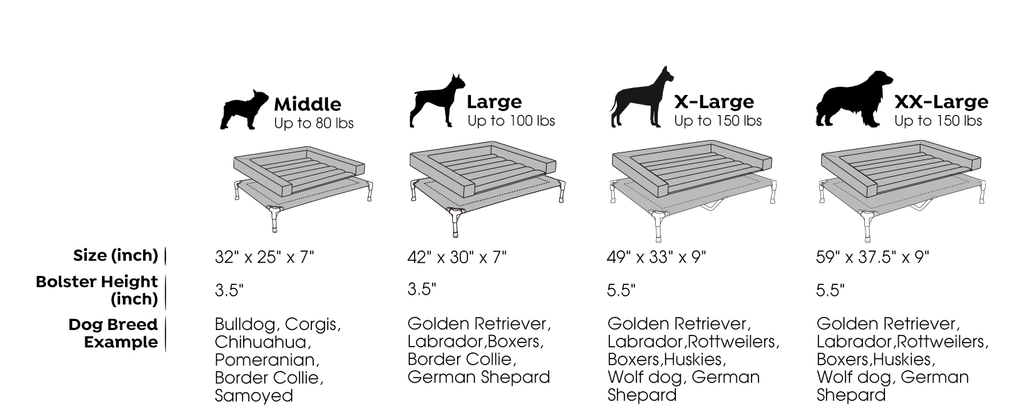 dog bed