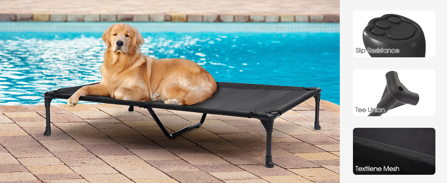 dog bed