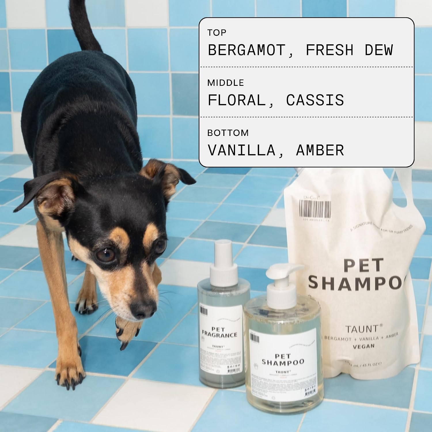 DedCool Pet Fragrance | 01 Taunt | Clean Luxury Pet Perfume for Dogs | Long-Lasting Deodorizing Spray | Non-Toxic, Vegan | 8.5 fl oz - Image 4