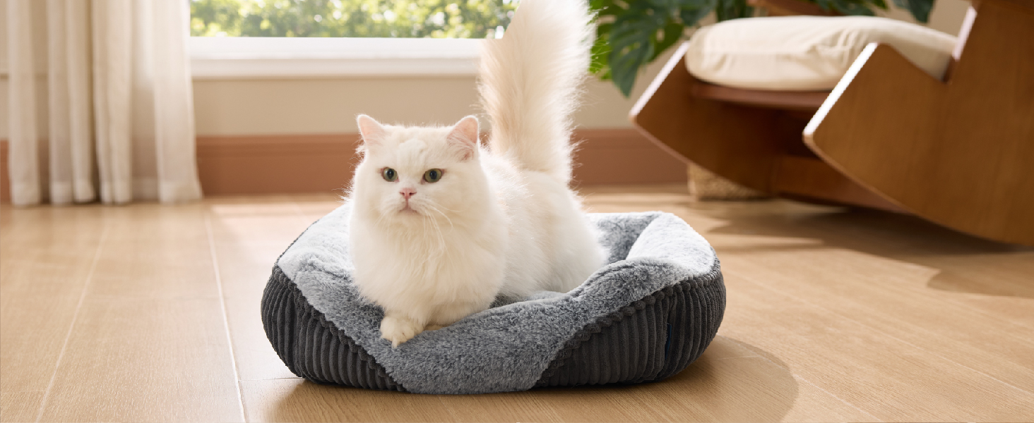 T1 dog bed