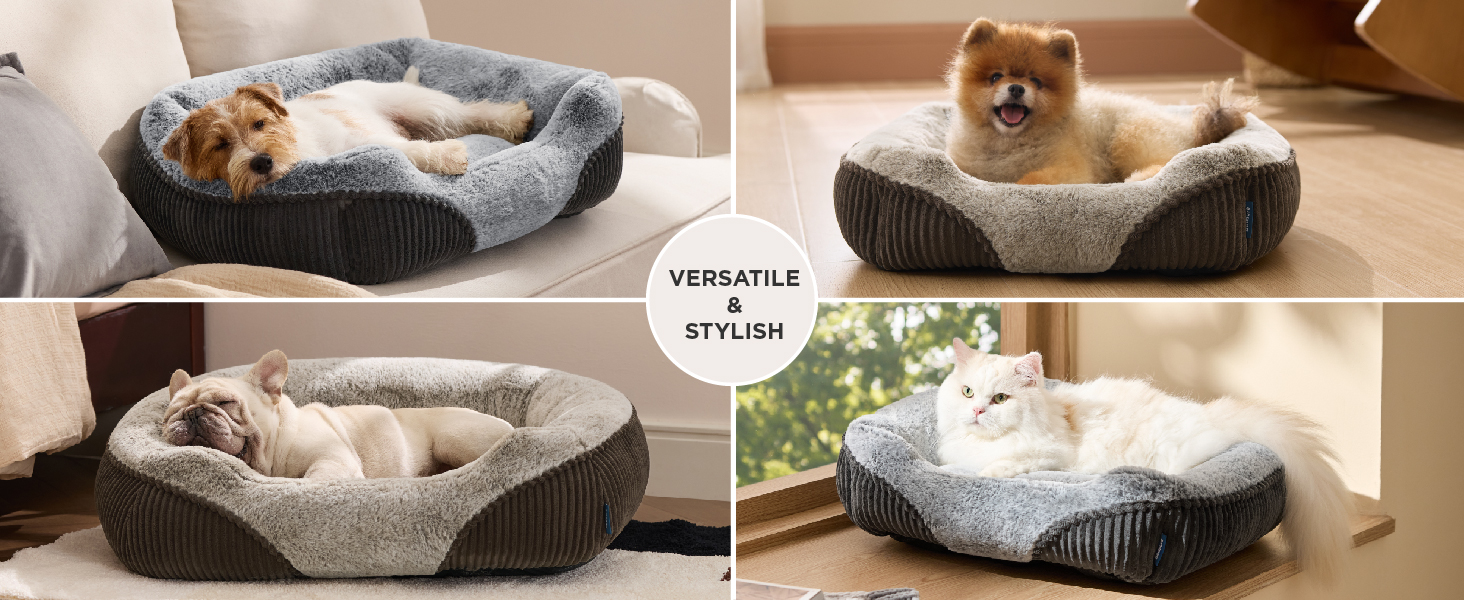T1 dog bed