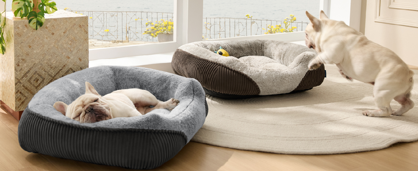 T1 dog bed