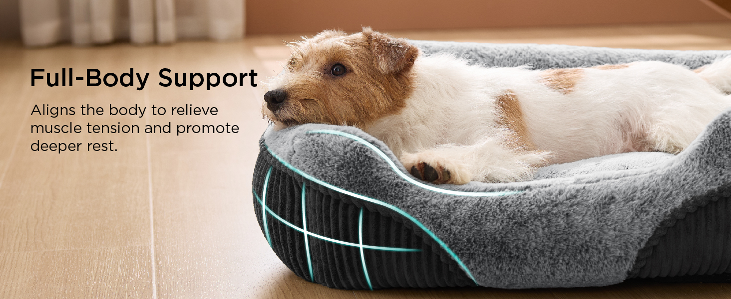 T1 dog bed
