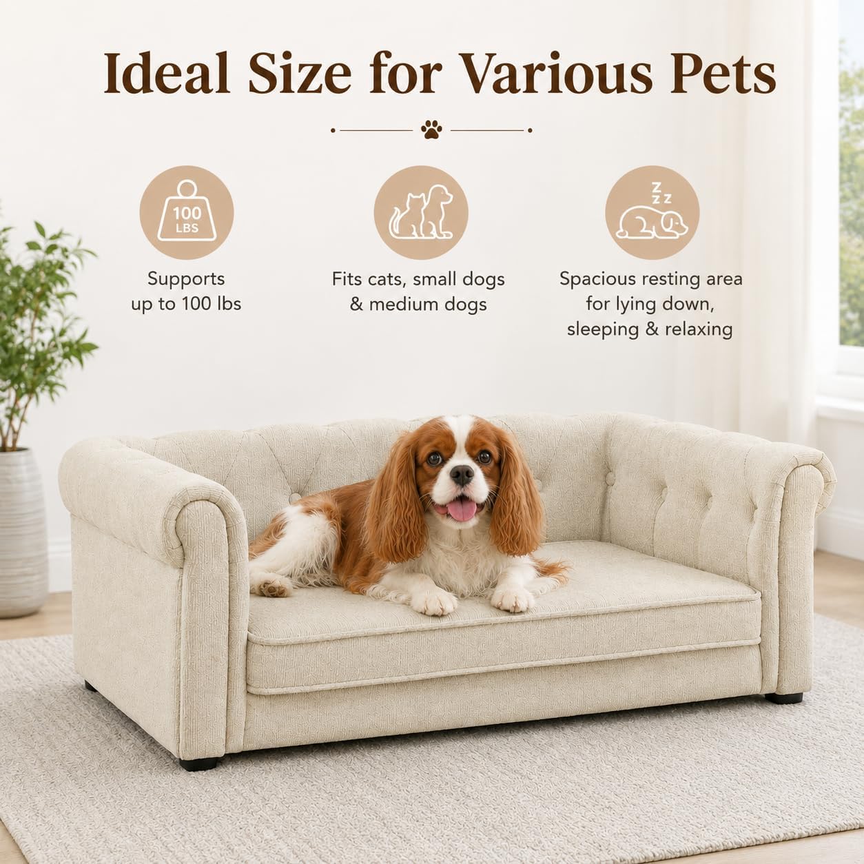 38.9" x 23.2" Dog Sofa for Small & Medium Dogs - Image 8