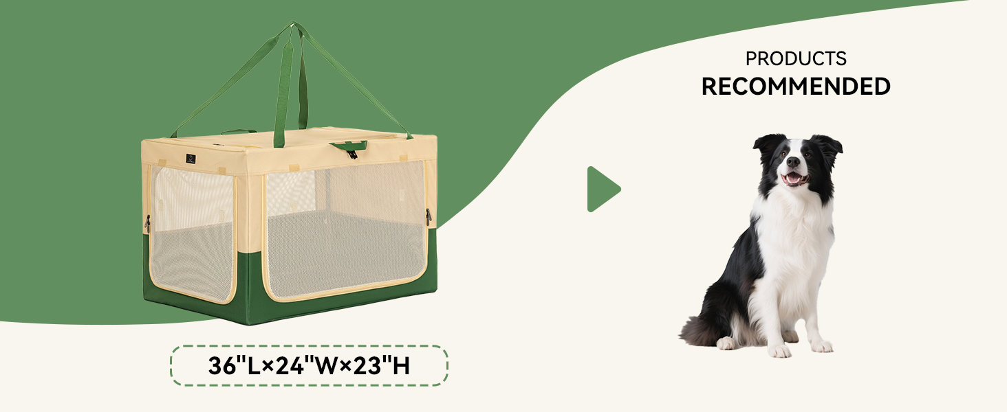 portable dog crate